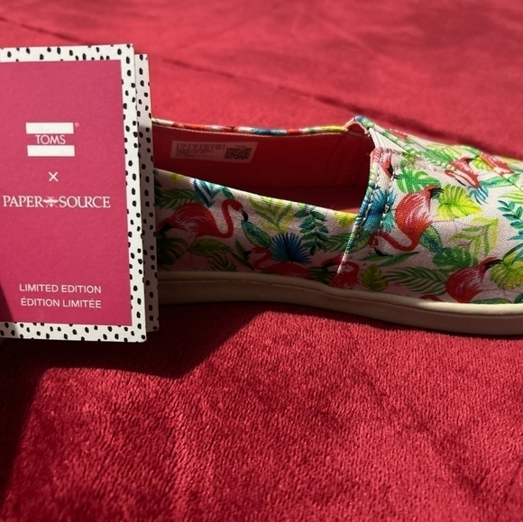LIMITED Edition Pink Flamingo Toms Y5 - Picture 3 of 7